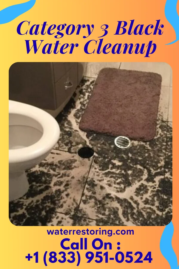 Category 3 Black Water Cleanup in Manhattan, NY
