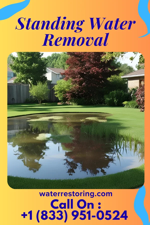 Standing Water Removal in Manhattan, NY